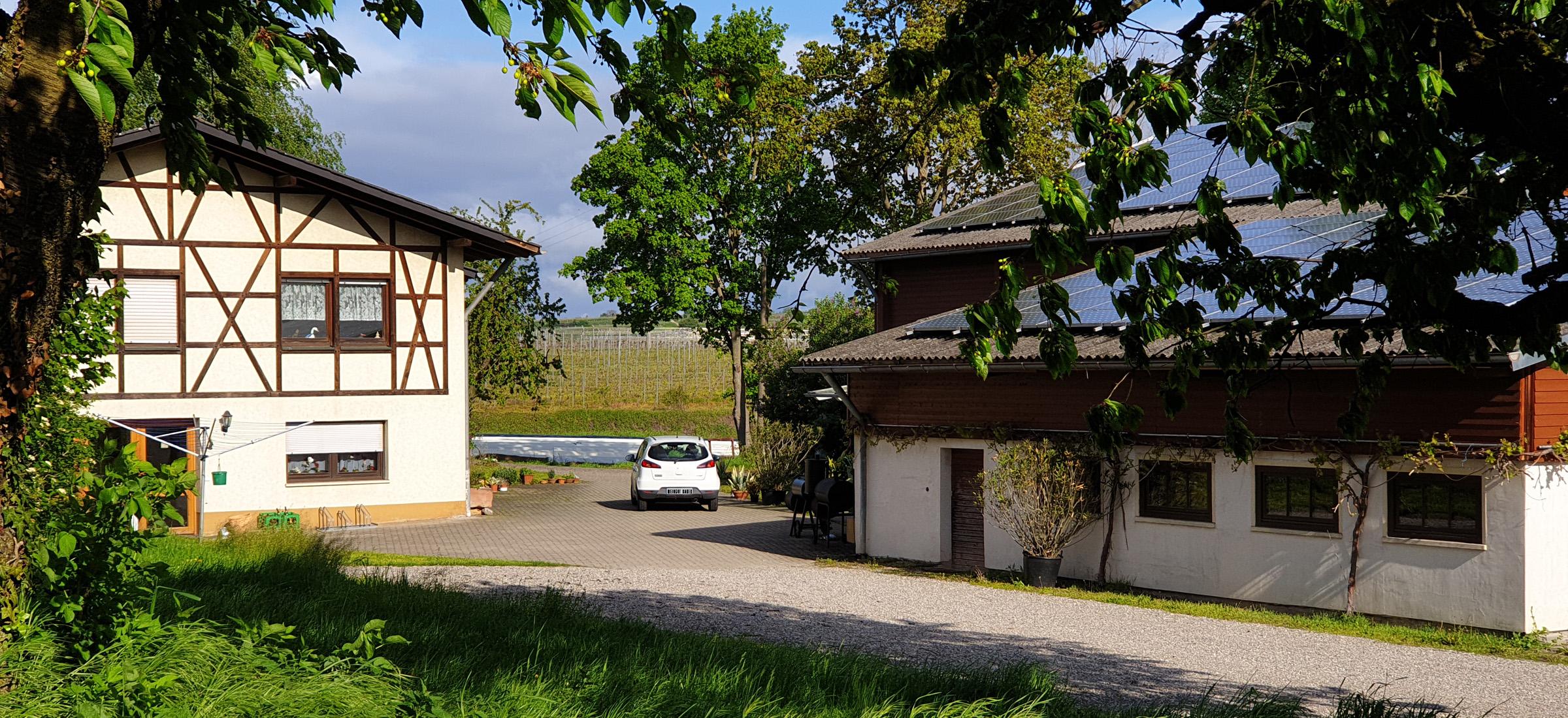 weingut-bader_slider_01