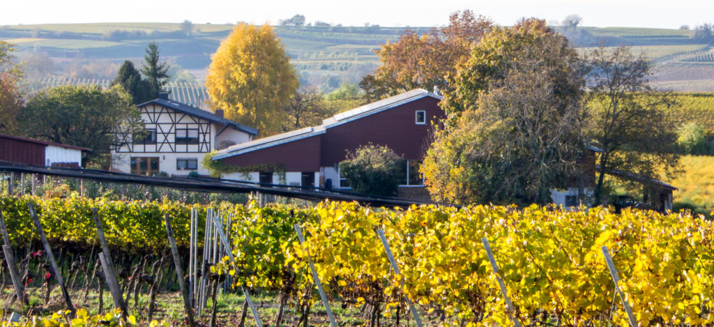 weingut-bader_slider_02